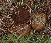 IMG_0623