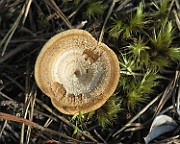 IMG_7614