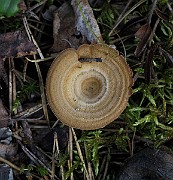 IMG_7615