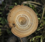 IMG_7625