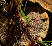 IMG_9401