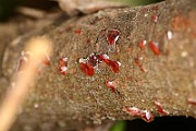 IMG_0815