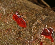 IMG_0822