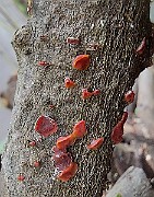 x20200730_153144