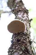 IMG_0928