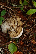 IMG_2195
