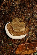 IMG_2196