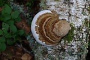 IMG_2198