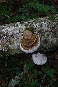 IMG_2206