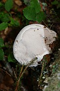 IMG_2208