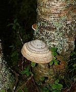 IMG_2324
