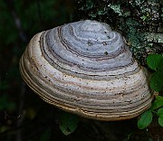IMG_2325