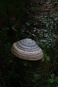 IMG_2326