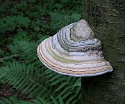 IMG_2847
