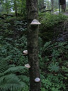 IMG_2849