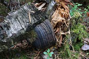 IMG_6123