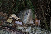 IMG_6132