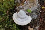 IMG_6136