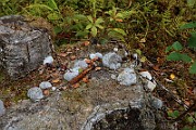 IMG_6137