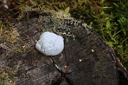 IMG_6138
