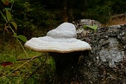 IMG_6140