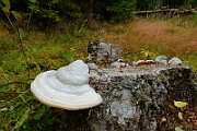 IMG_6146