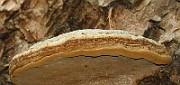 IMG_6843