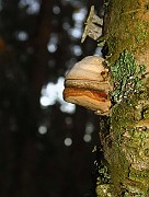 IMG_6844