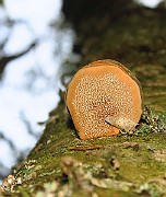 IMG_6846