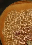 IMG_6847