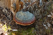IMG_0297