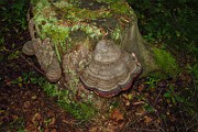 IMG_2724