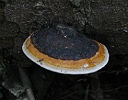 IMG_3291