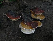 IMG_3292