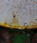 IMG_6116