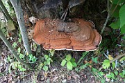 IMG_1893