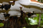 IMG_1896