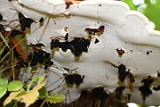IMG_1897