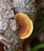 IMG_2216