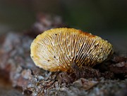 IMG_2218