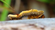 IMG_2222