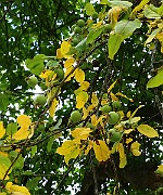 IMG_6699b