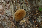 IMG_6700