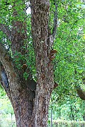 IMG_6703