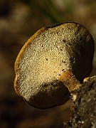 IMG_2057