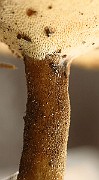 IMG_2149