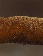 IMG_2150