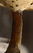 IMG_2151