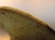 IMG_2156
