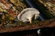 IMG_1622